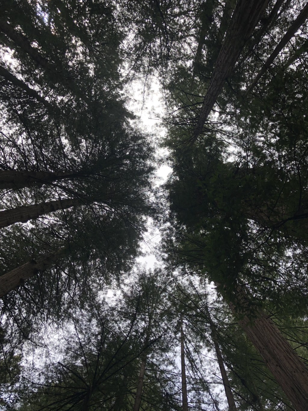 The musings of a constructive&nbsp;discontent….